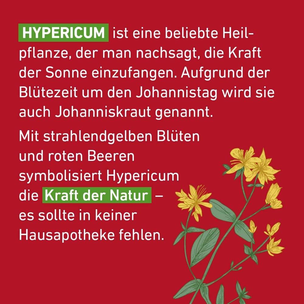 Text auf rotem Hintergrund: Hypericum ist eine Heilpflanze. Mit gelben Blüten und roten Beeren symbolisiert es die Kraft der Natur.