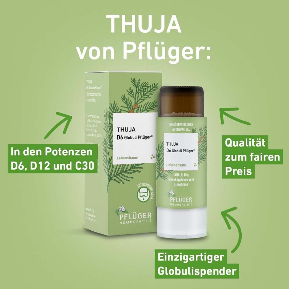 Thuja von Pflüger: D6, D12 und C30. Globulisspender. Qualität zum fairen Preis. Grüner Hintergrund.