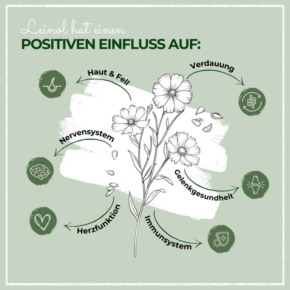 Grafik mit Illustrationen. Leinöl hat positiven Einfluss auf: Haut & Fell, Verdauung, Nervensystem, etc.