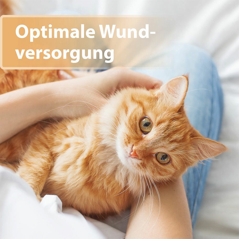 Felisept Wundgel f.Katzen 20 ml Gel