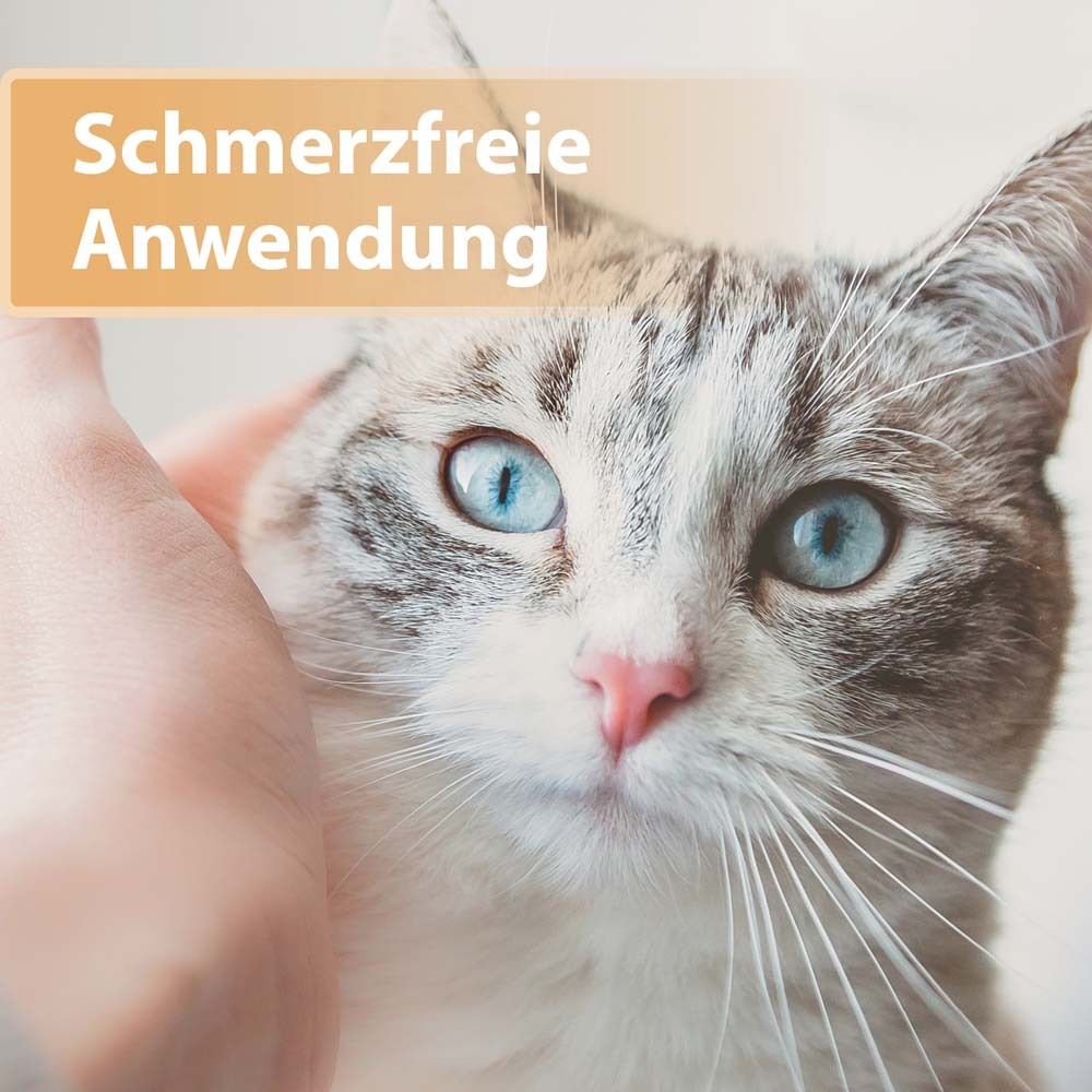 Felisept® Wundgel für Katzen