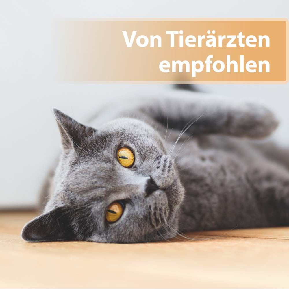 Felisept® Wundgel für Katzen