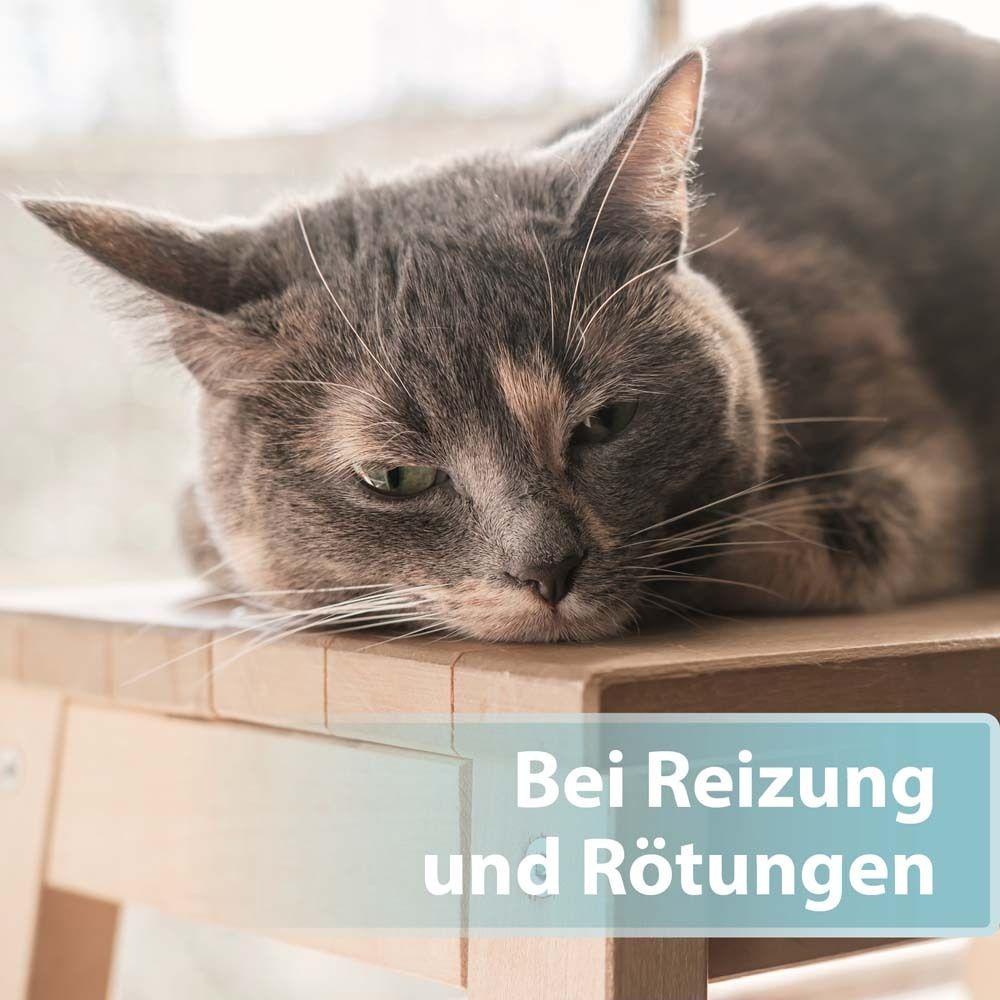 Felisept® Hautpflege Spray für Katzen