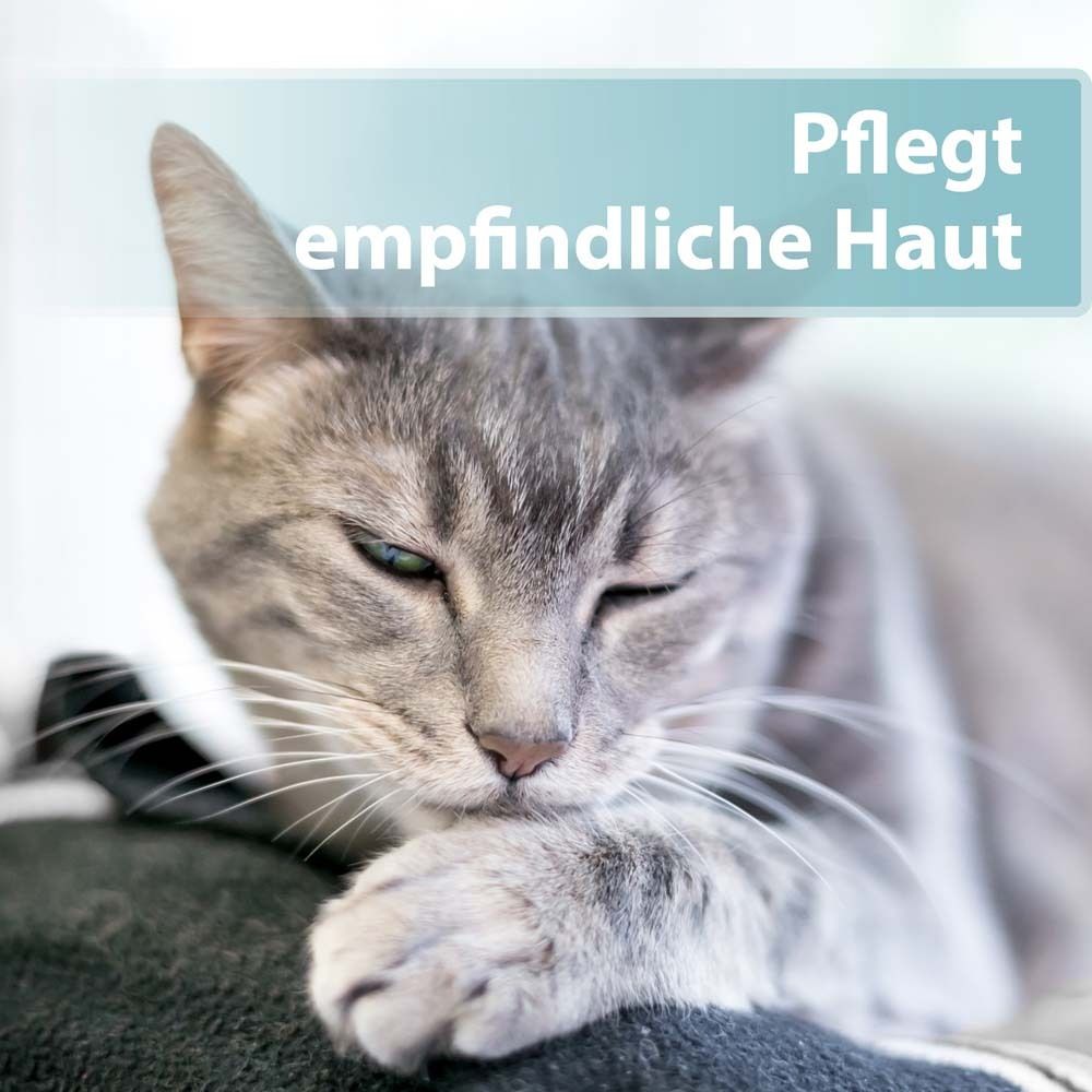 Felisept® Hautpflege Spray für Katzen