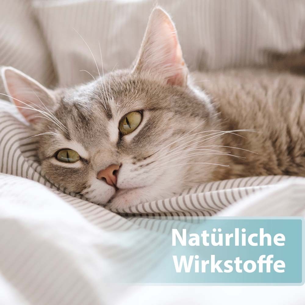 Felisept® Hautpflege Spray für Katzen