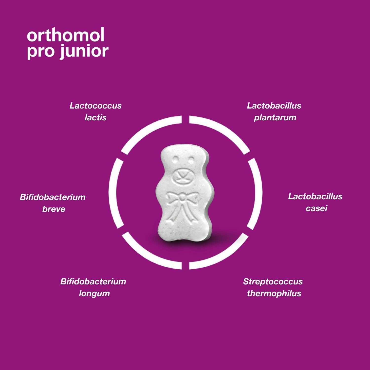 Orthomol Pro junior - enthält eine Kombination ausgewählter Darmsymbionten und Vitamin C - Kautabletten