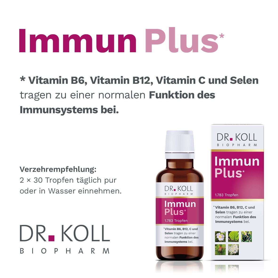 Immun Plus Dr.Koll Gemmo Kompl.Vit.B6 B12 Selen Tr 50 ml Tropfen