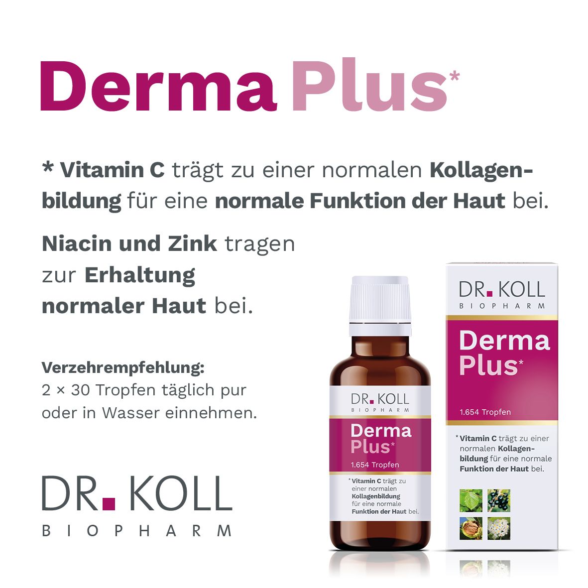 Derma Plus Dr.Koll Gemmo Komplex Walnuss Vit.C Tro 50 ml Tropfen