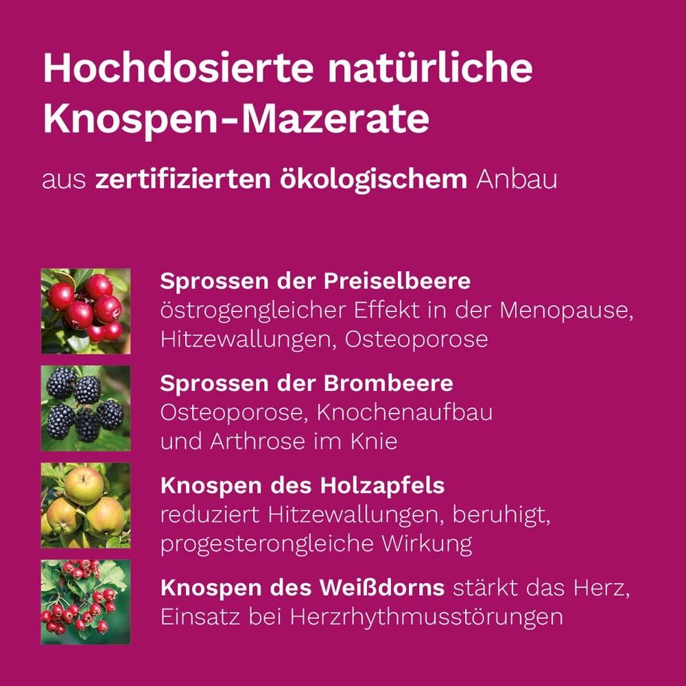DR. KOLL Meno Plus®