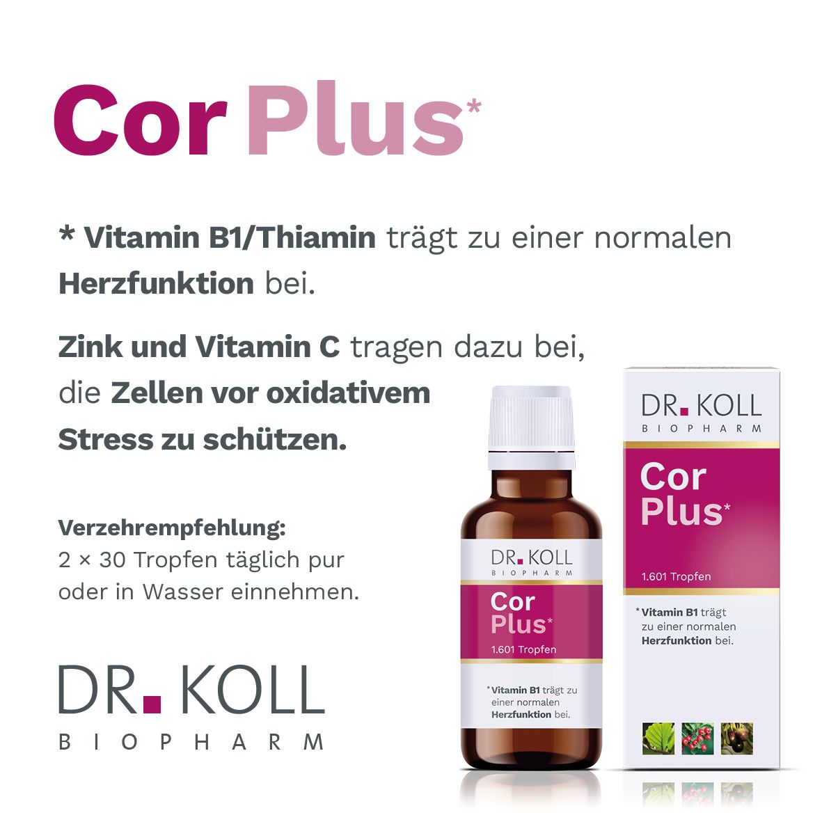 Cor Plus Dr. Koll Gemmo Komplex Weißdorn Vit.B1 Tro