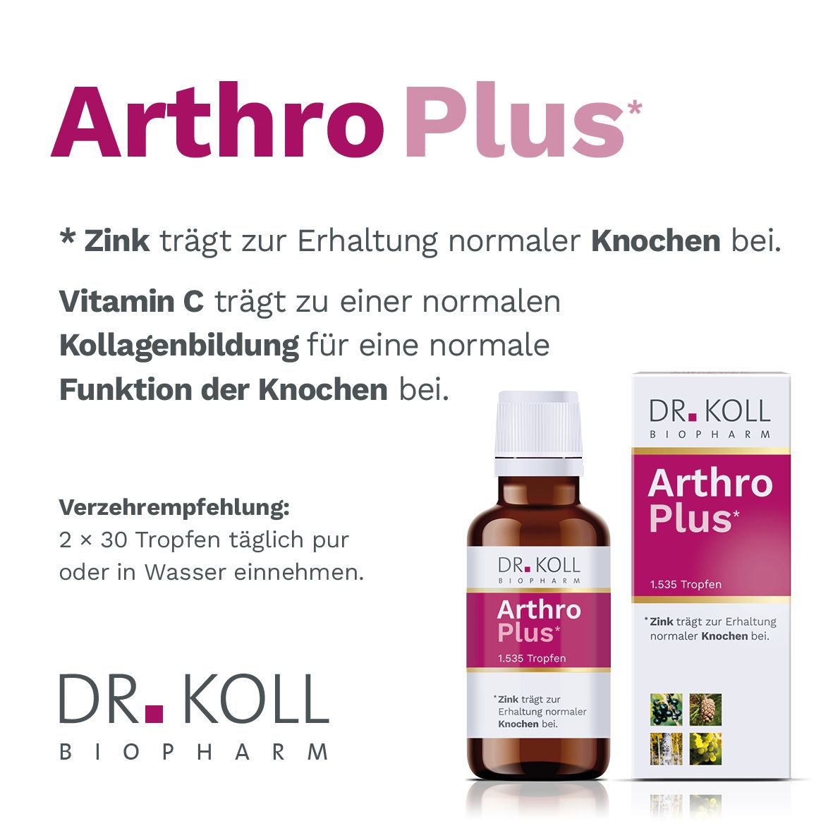 Arthro Plus Dr. Koll Gemmo Komplex Weinrebe Zink