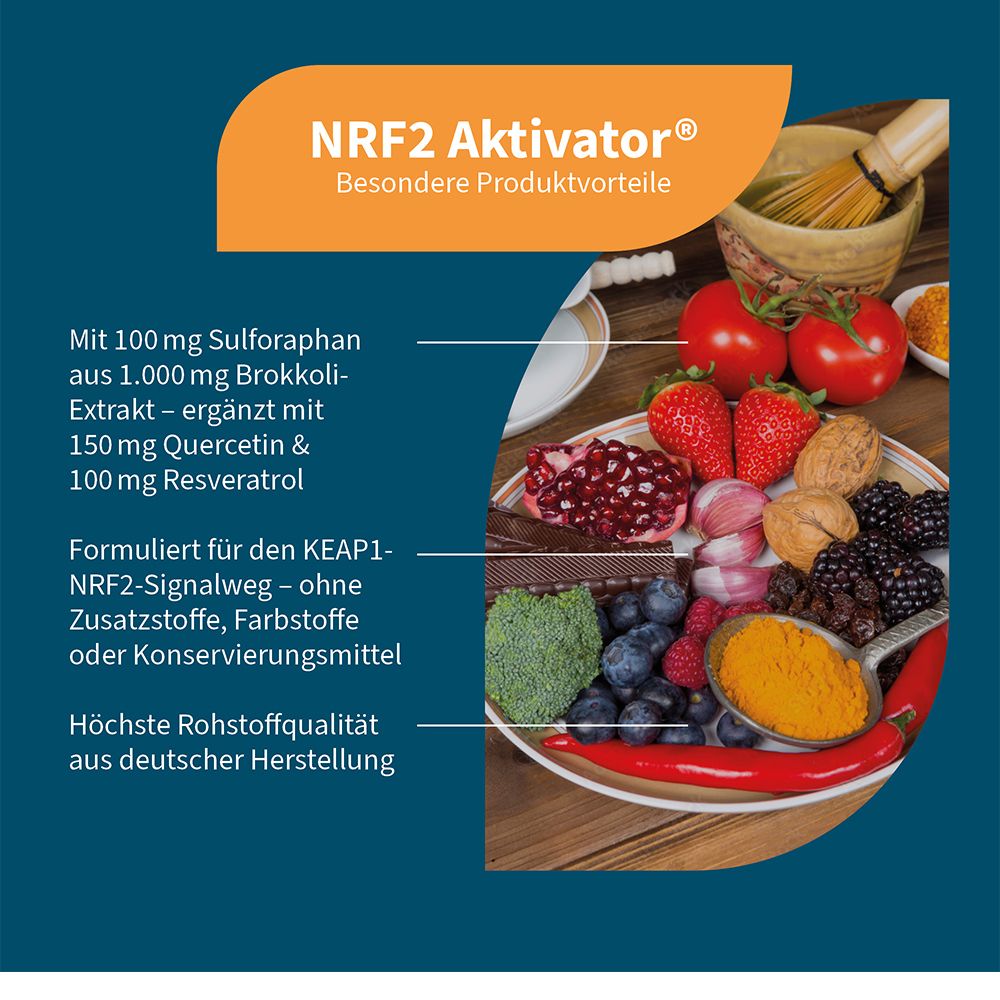 Infografik mit Zutaten. Text: NRF2 Aktivator, Brokkoli-Extrakt, Quercetin, Resveratrol. Obst und Gemüse.