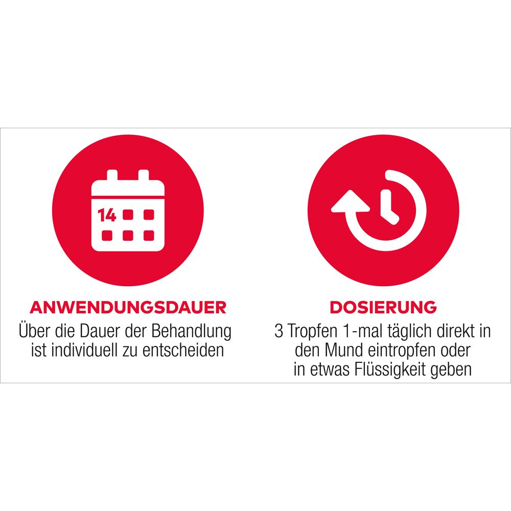 Zwei rote Kreise mit weißen Symbolen. Links: Kalender. Rechts: Uhr. Text: Anwendungsdauer, Dosierung, 3 Tropfen täglich.
