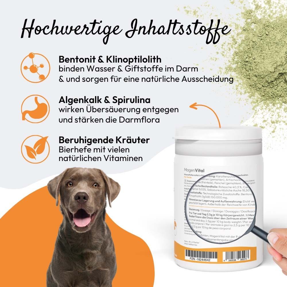 Produktverpackung mit Lupe. Dose mit Aufschrift PHA PetVet MagenVital. Text: Hochwertige Inhaltsstoffe.