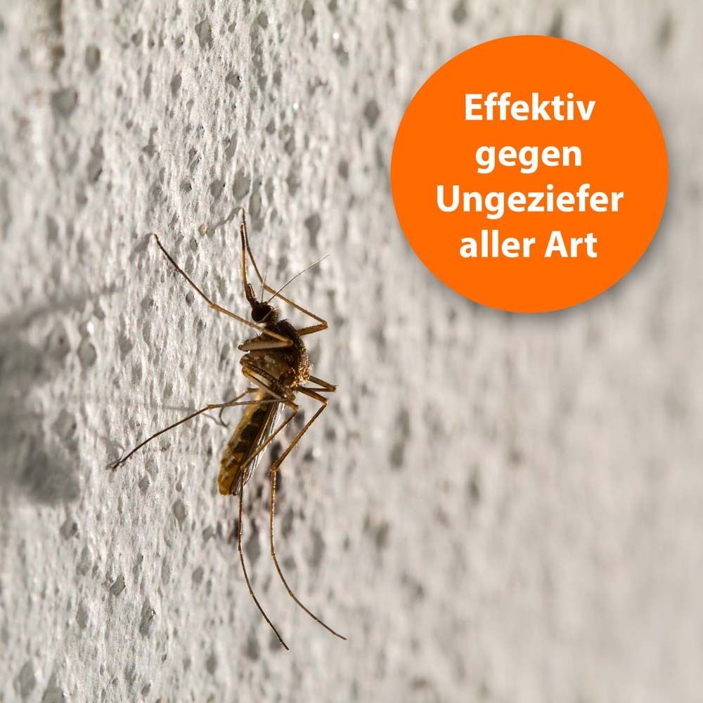 Insekt auf Wand. Orangefarbener Kreis mit Text: Effektiv gegen Ungeziefer aller Art.