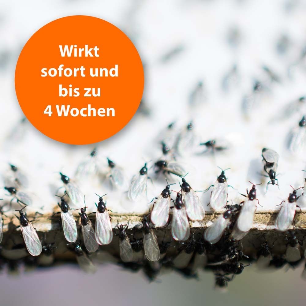 Viele kleine Insekten auf Oberfläche. Orangefarbener Kreis mit Text: Wirkt sofort und bis zu 4 Wochen.