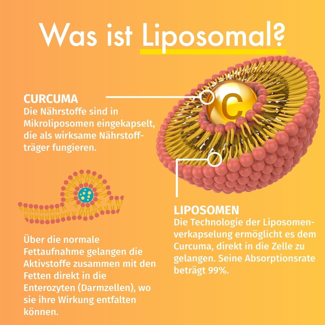 GREEN NATURALS Curcuma Extrakt liposomal vegan