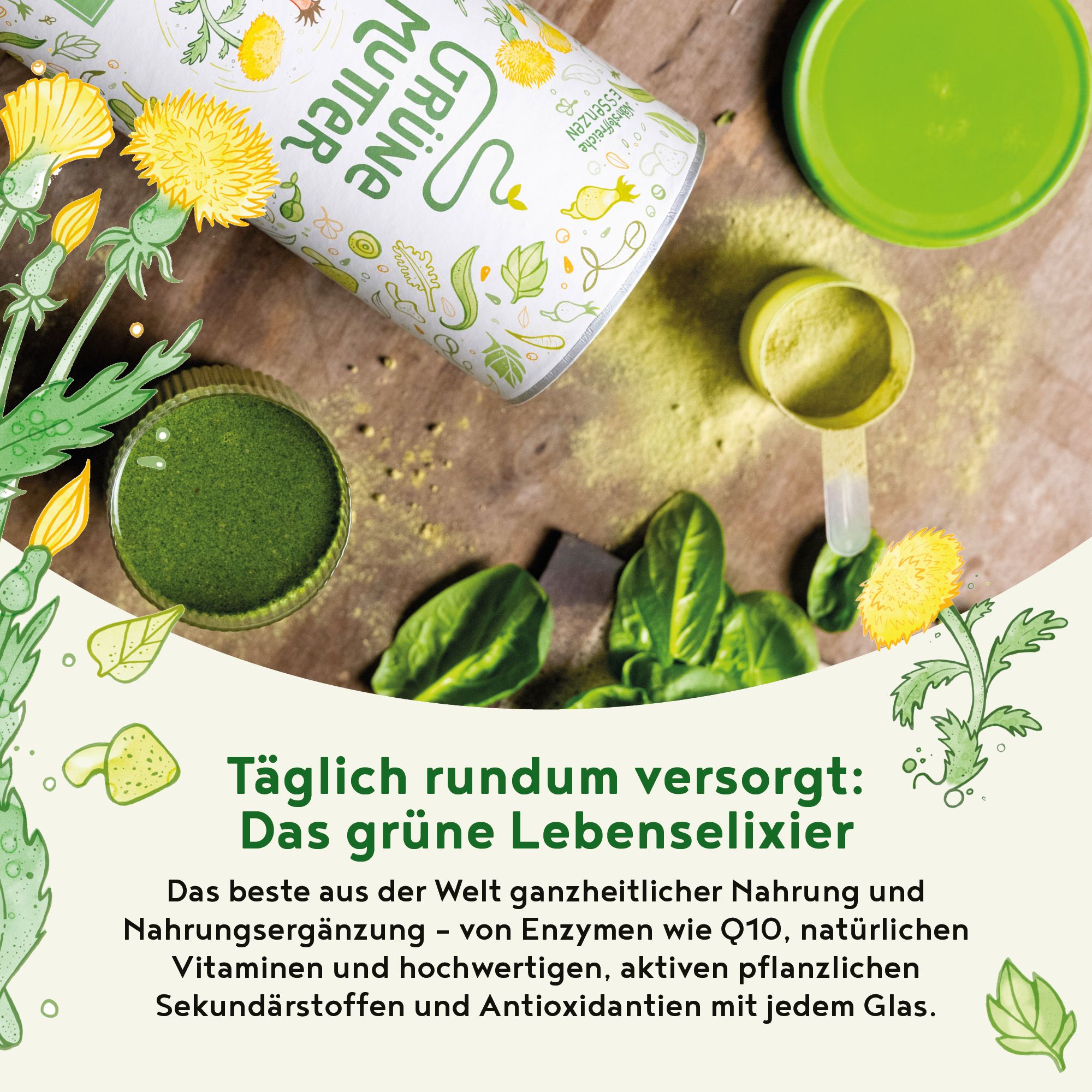 ALPHA FOODS Grüne Mutter OPC Spirulina + Coenzym Q10 vegan