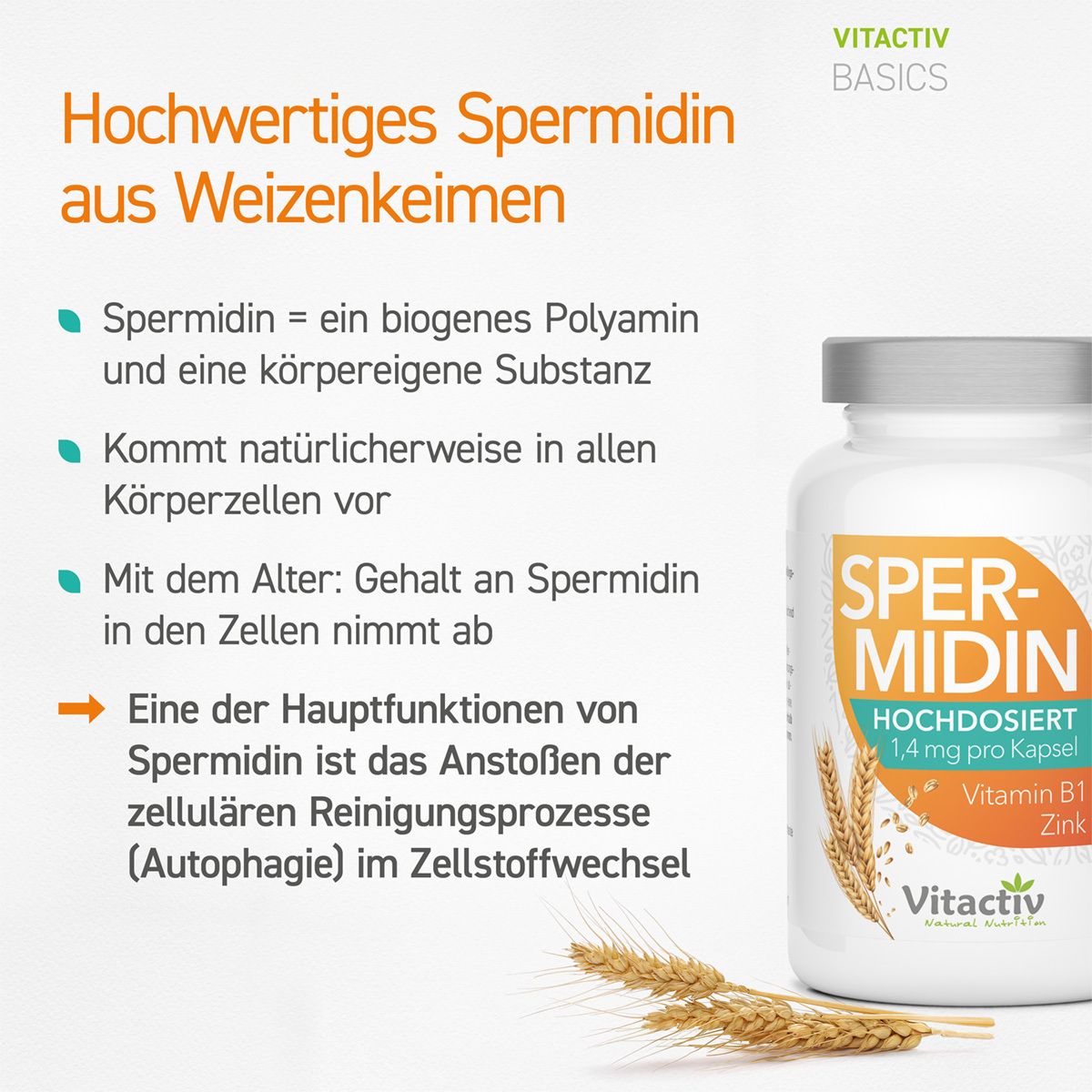 SPERMIDIN+Vitamin B1+Zink Kapseln 60 St