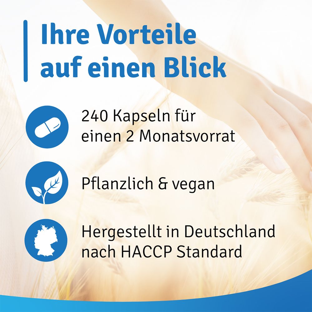 REFIGURA® Spermidin 1,6mg hochdosiert vegan zum Fasten