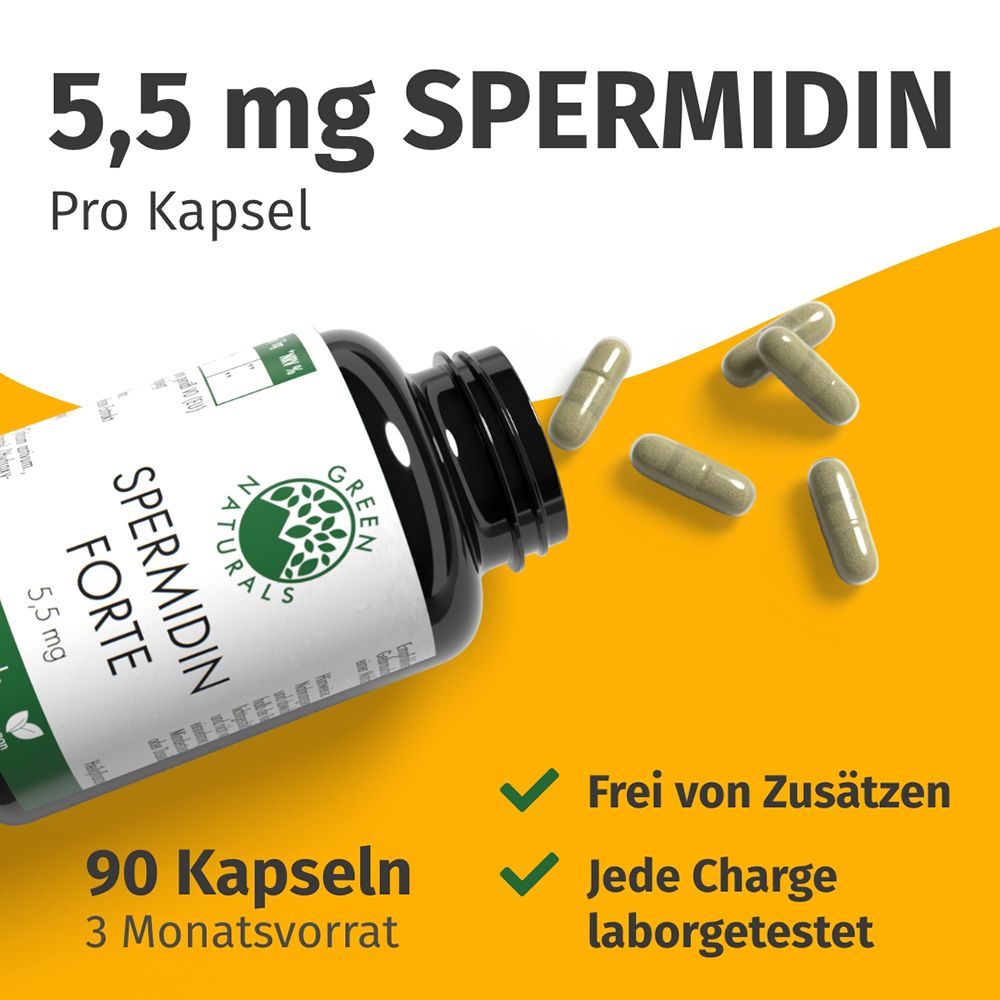 Flasche mit herausfallenden Kapseln. Spermidin Forte 5,5 mg, 90 Kapseln. Frei von Zusätzen, laborgetestet.