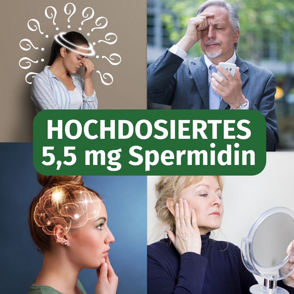 Collage: Kopfschmerzen, Mann mit Handy, Gehirn, Frau mit Spiegel. Hochdosiertes 5,5 mg Spermidin.