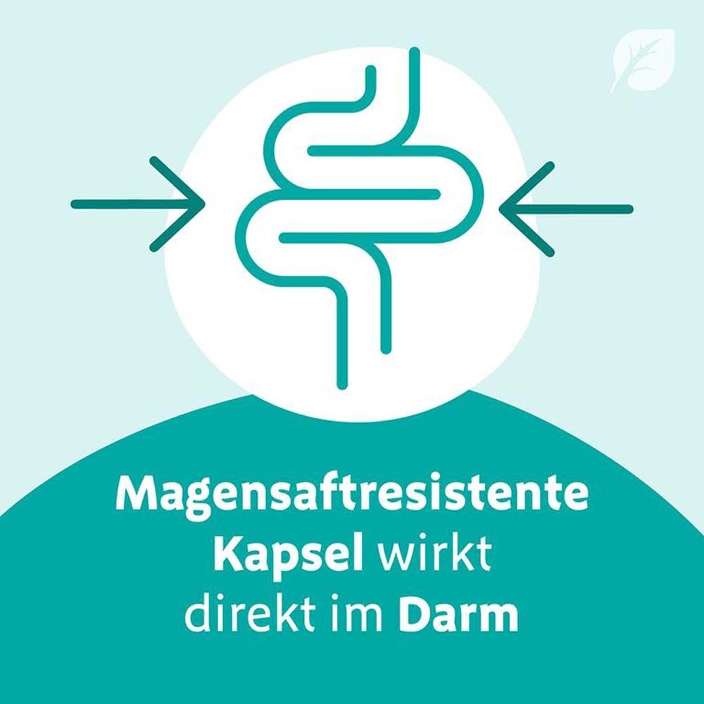 Digestopret® bei Darmbeschwerden – mit hochdosiertem Pfefferminzöl