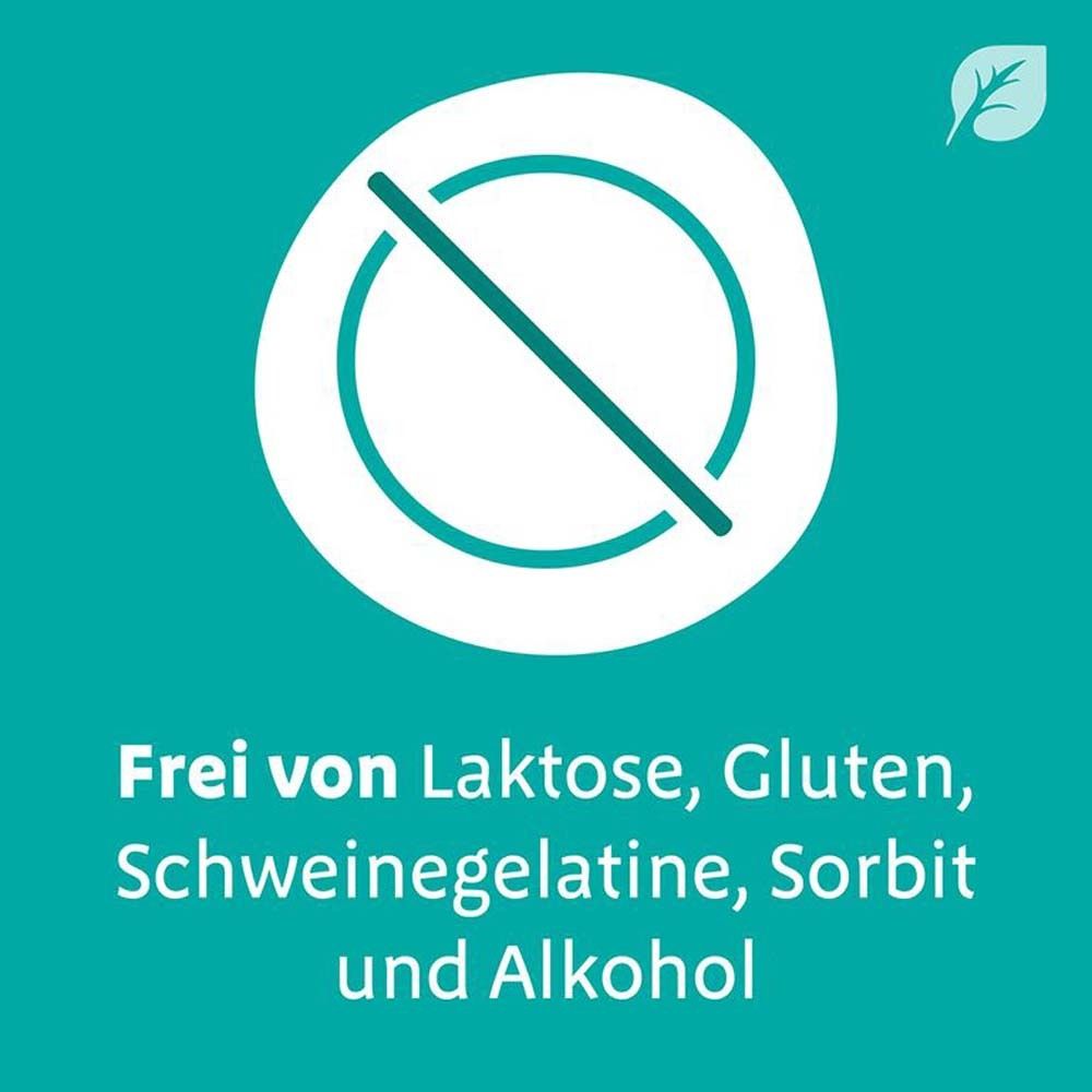 Digestopret® bei Darmbeschwerden – mit hochdosiertem Pfefferminzöl