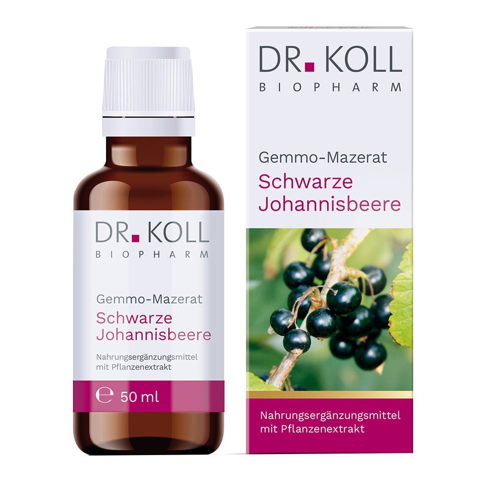 DR. KOLL GEMMO Mazerat schwarze Johannisbeere Dr.Koll Ribes