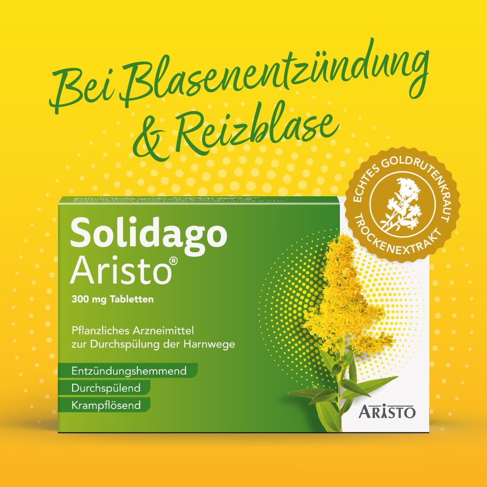 Solidago Aristo® Packung umgeben von Goldrutenblüten, für Blasenentzündung.