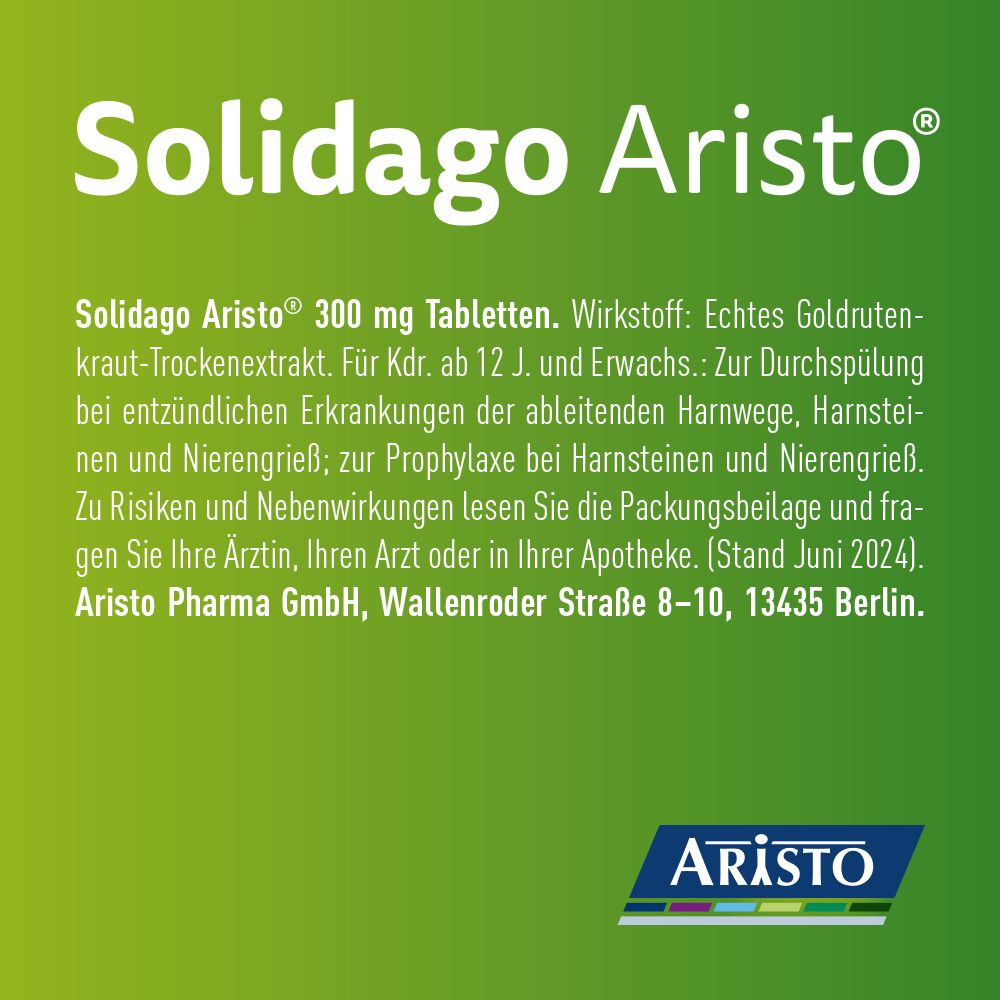 Solidago Aristo® 300 mg Tabletten, Packungsbeilage mit Text.