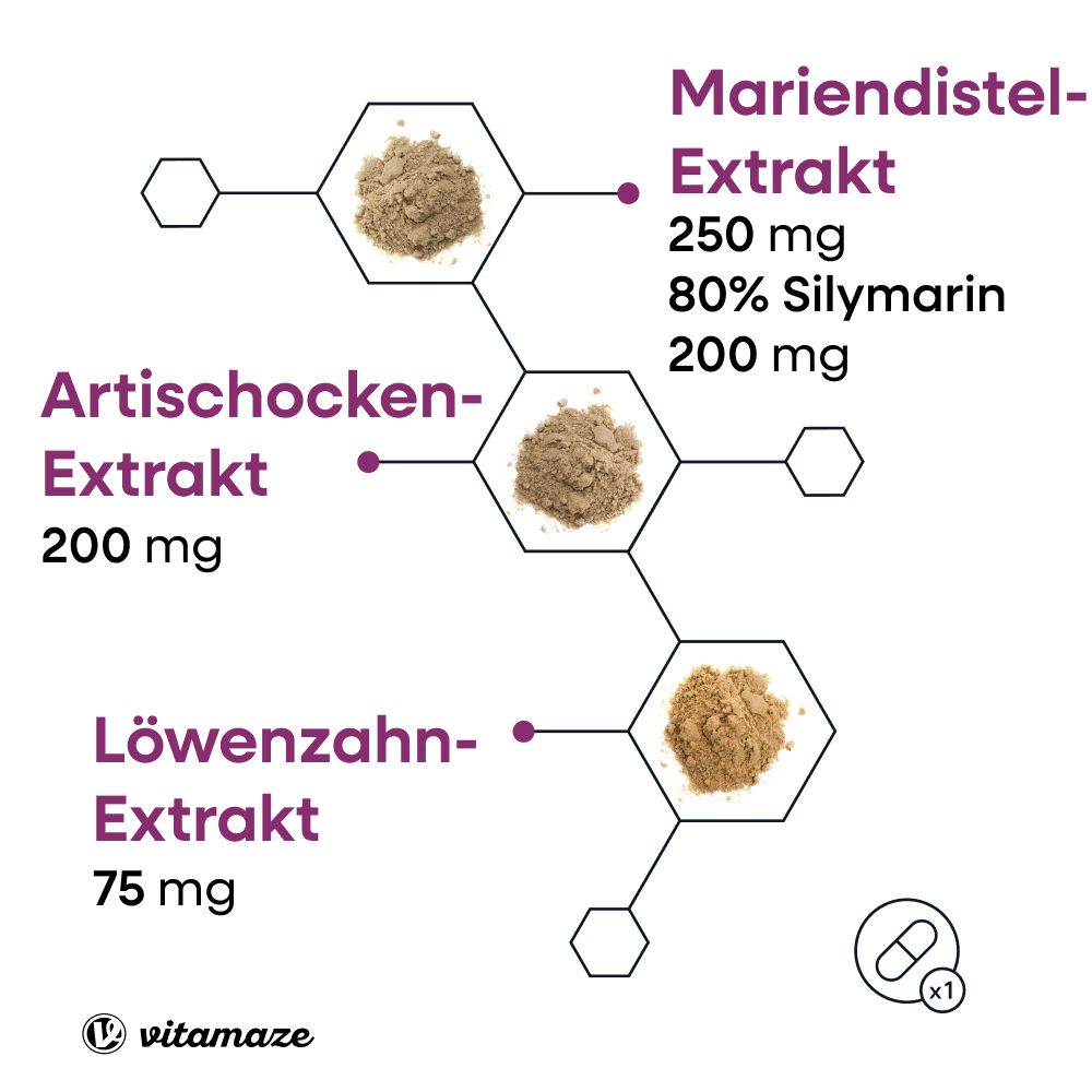 Grafik mit Inhaltsstoffen: Mariendistel-, Artischocken- und Löwenzahnextrakt. Mengen in mg.