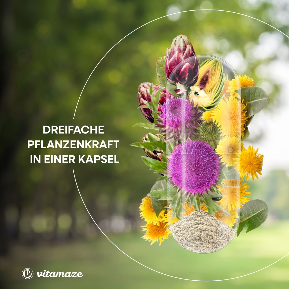 Kapsel mit Pflanzen. Text: Dreifache Pflanzenkraft in einer Kapsel.