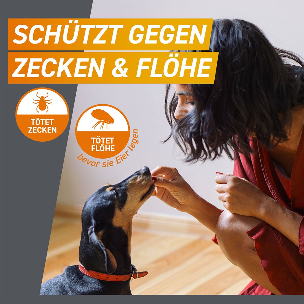 FRONTPRO® Kautablette gegen Zecken und Flöhe für Hunde (2-4kg)