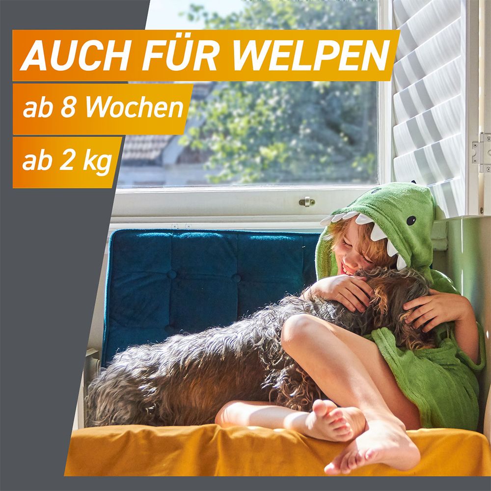 FRONTPRO® Kautablette gegen Zecken und Flöhe für Hunde (2-4kg)