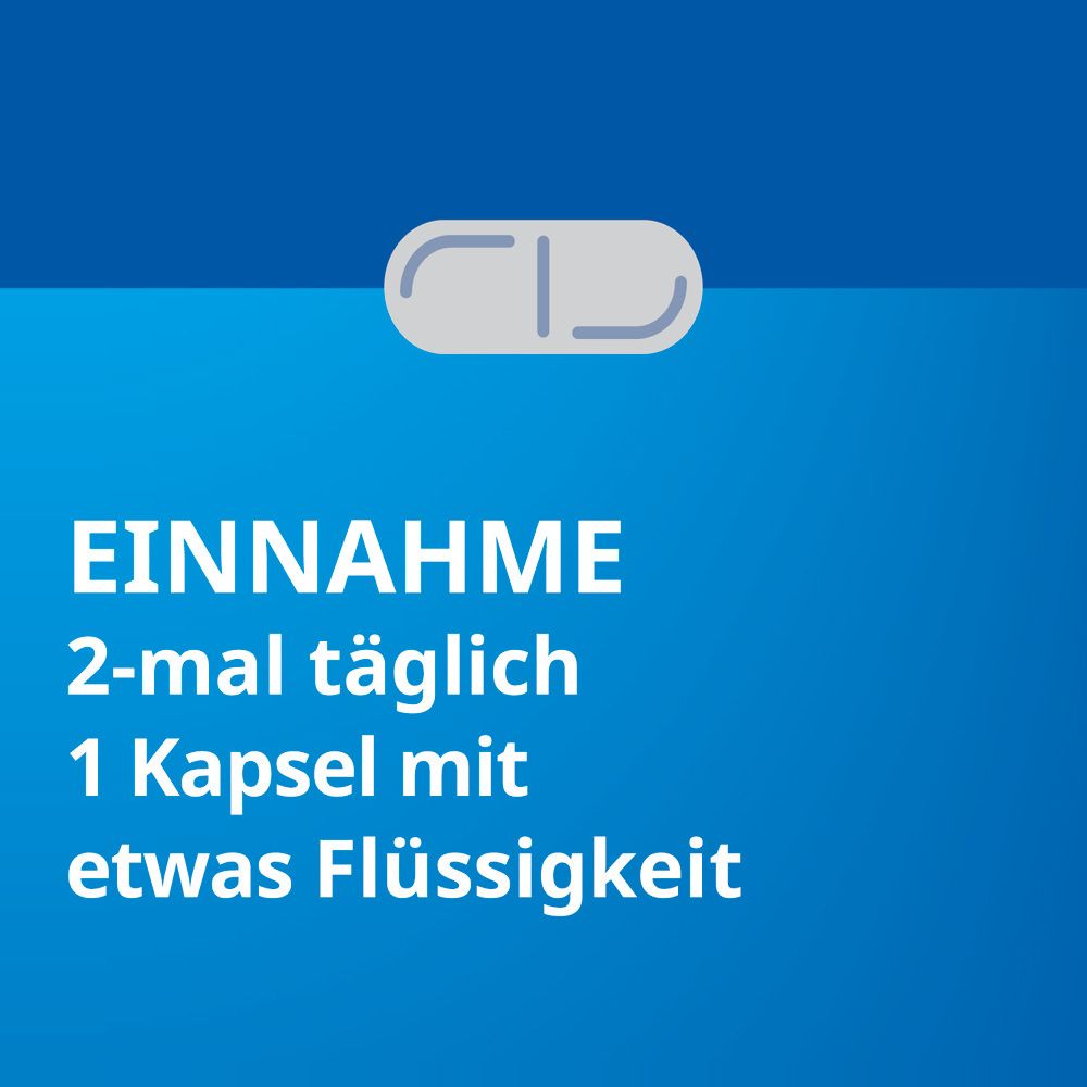 Grafik mit Kapsel. Text: Einnahme 2-mal täglich 1 Kapsel mit etwas Flüssigkeit.