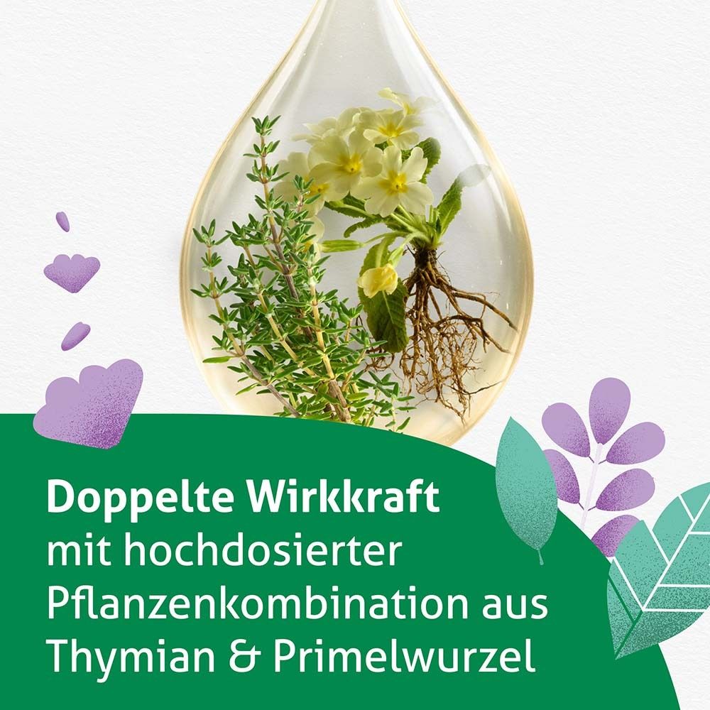 Tropfen mit Thymian und Primelwurzel. Text: Doppelte Wirkkraft mit hochdosierter Pflanzenkombination.