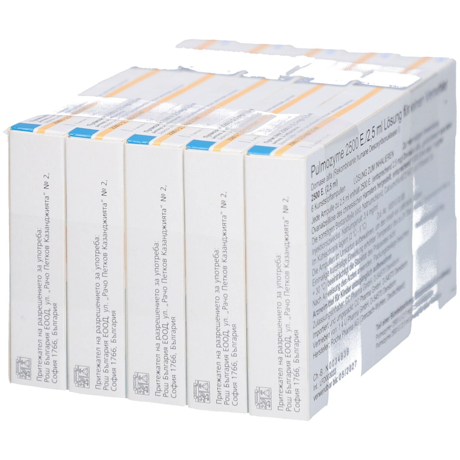 Packung mit Pulmozyme 2500 E./2,5 ml Lösung. Rückseite mit Text. Sechs Ampullen in einer Schachtel.