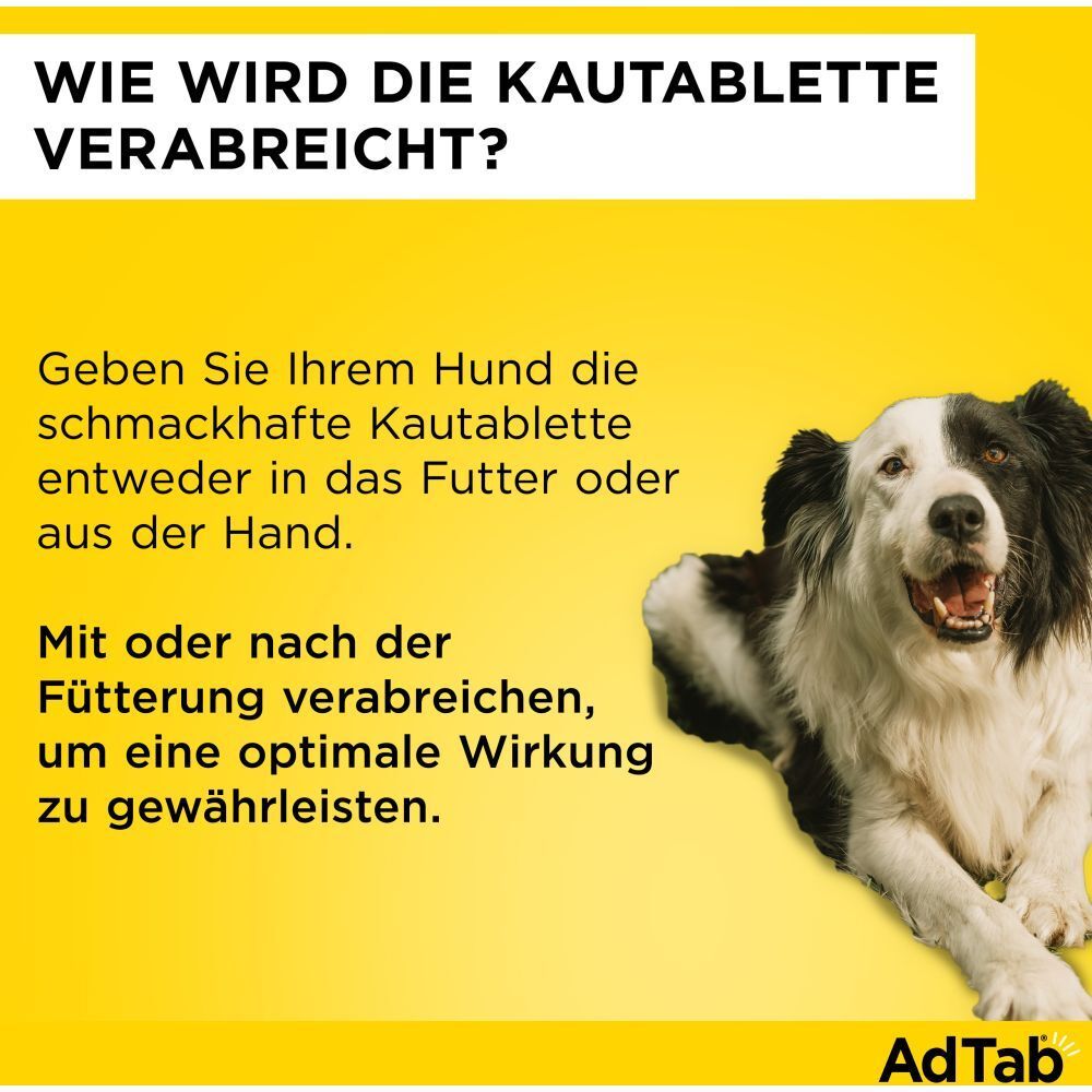 AdTab™ Hund über 2,5 bis 5,5 kg 112 mg