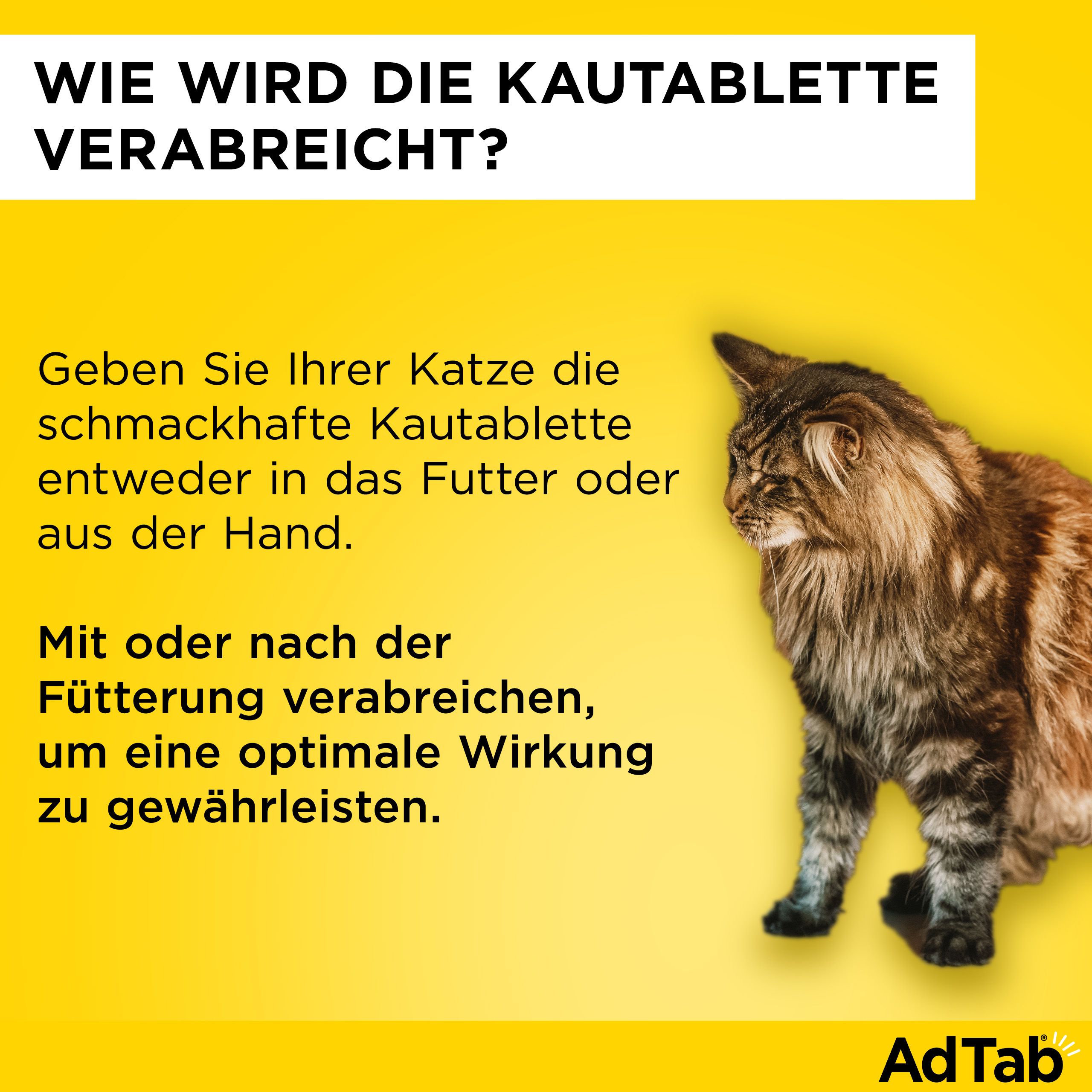Text: Wie wird die Kautablette verabreicht? In Futter oder aus der Hand. Mit oder nach der Fütterung.