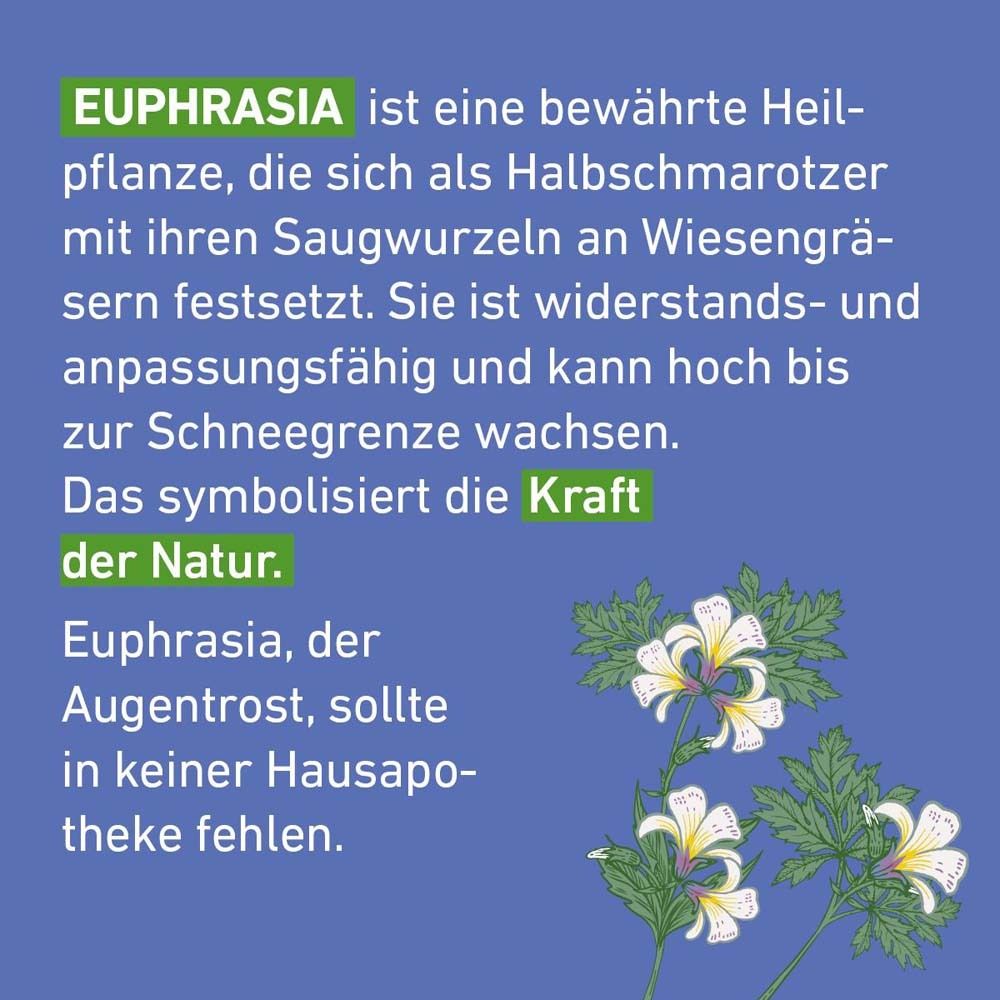 Text auf blauem Hintergrund: Euphrasia ist eine Heilpflanze. Abbildung von Euphrasia-Pflanzen.