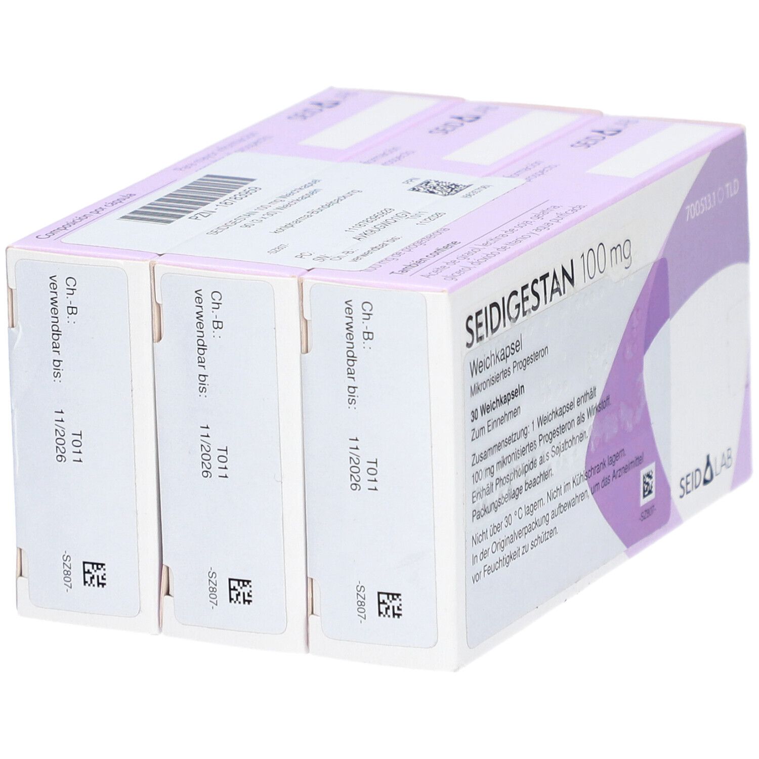 SEIDIGESTAN 100 mg Weichkapseln