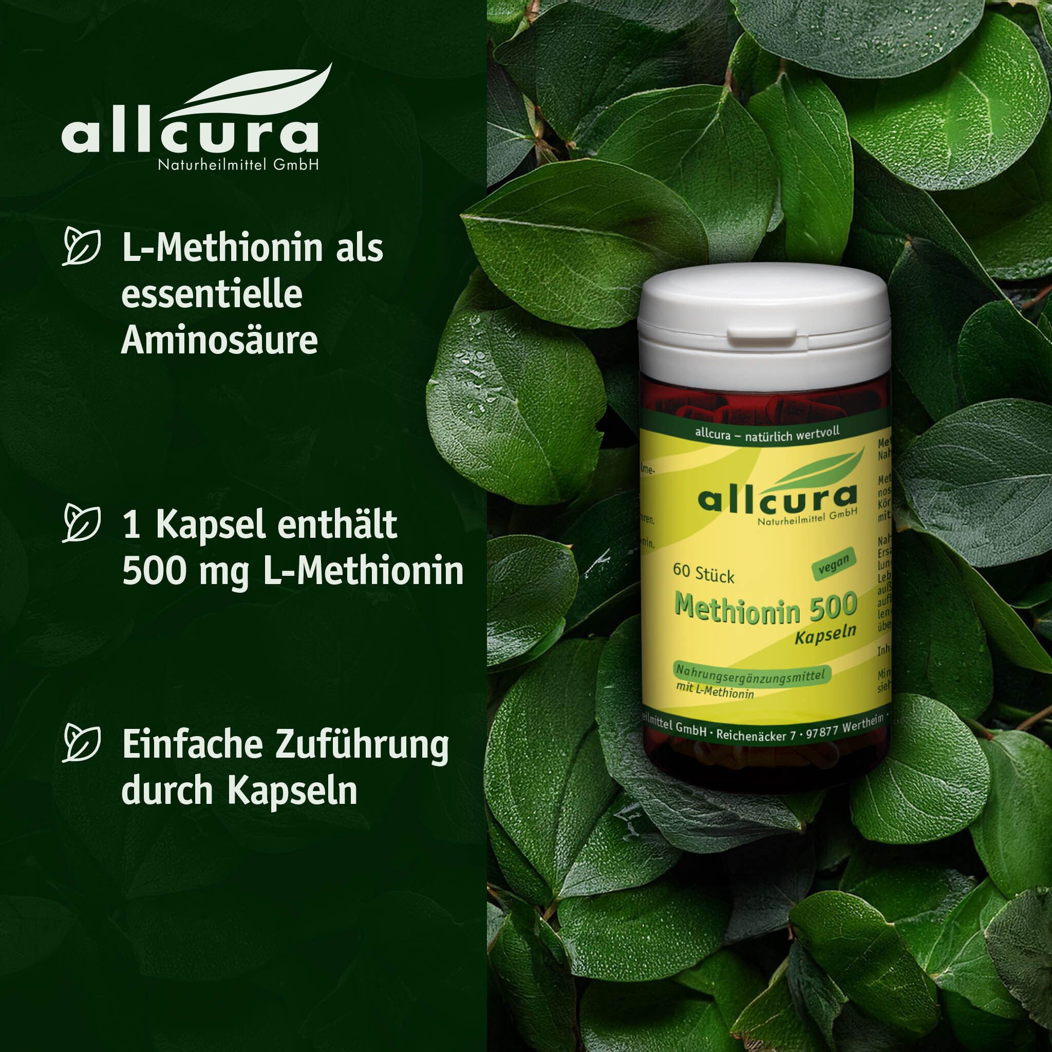 Pillendose mit Blättern im Hintergrund. Text: L-Methionin als essentielle Aminosäure, 1 Kapsel enthält 500 mg L-Methionin.