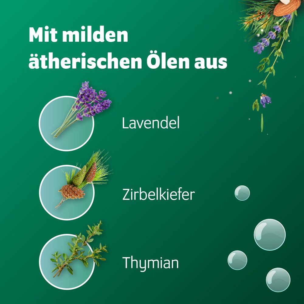 Grafik mit Lavendel, Zirbelkiefer und Thymian. Kreisförmige Abbildungen der Pflanzen.