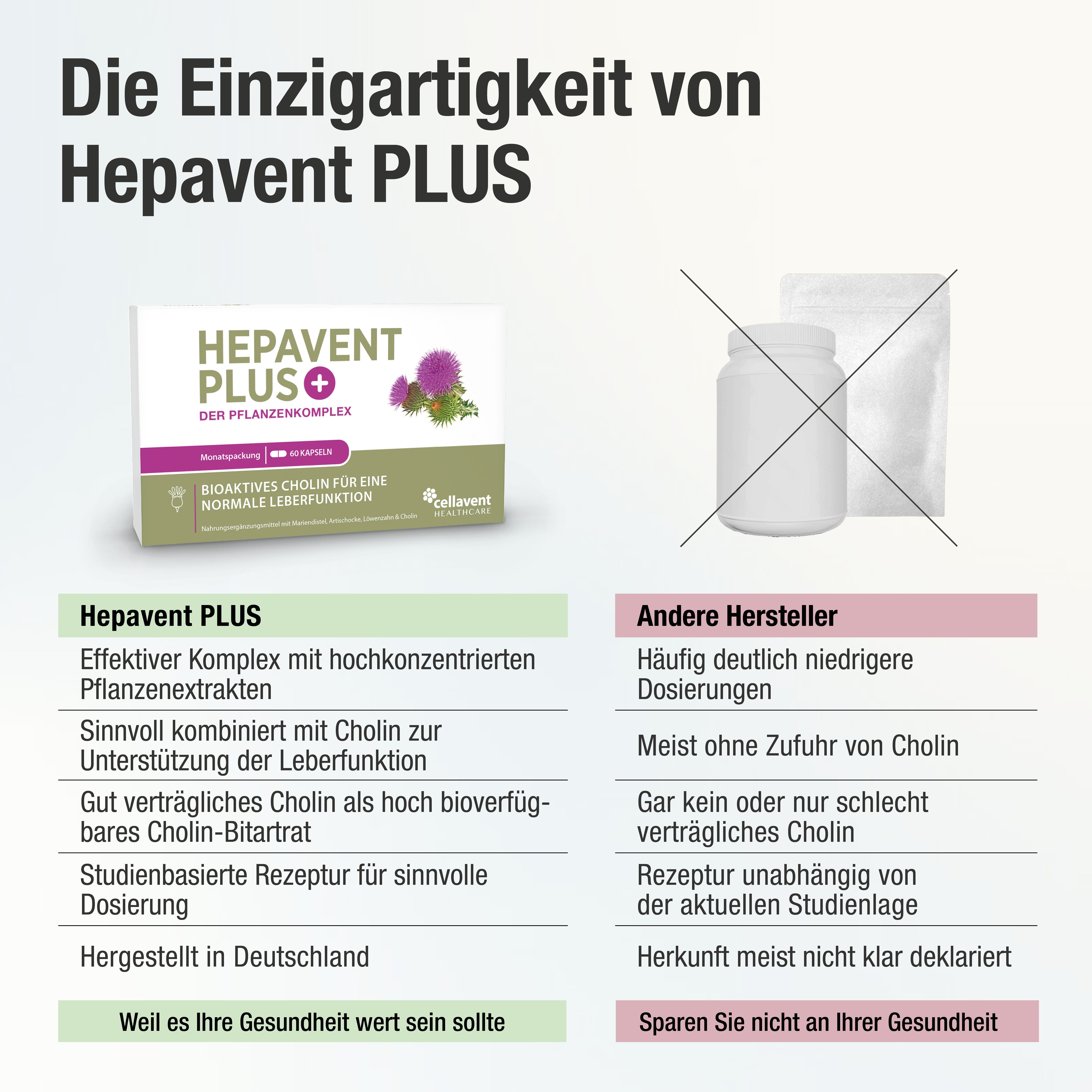 HEPAVENT PLUS