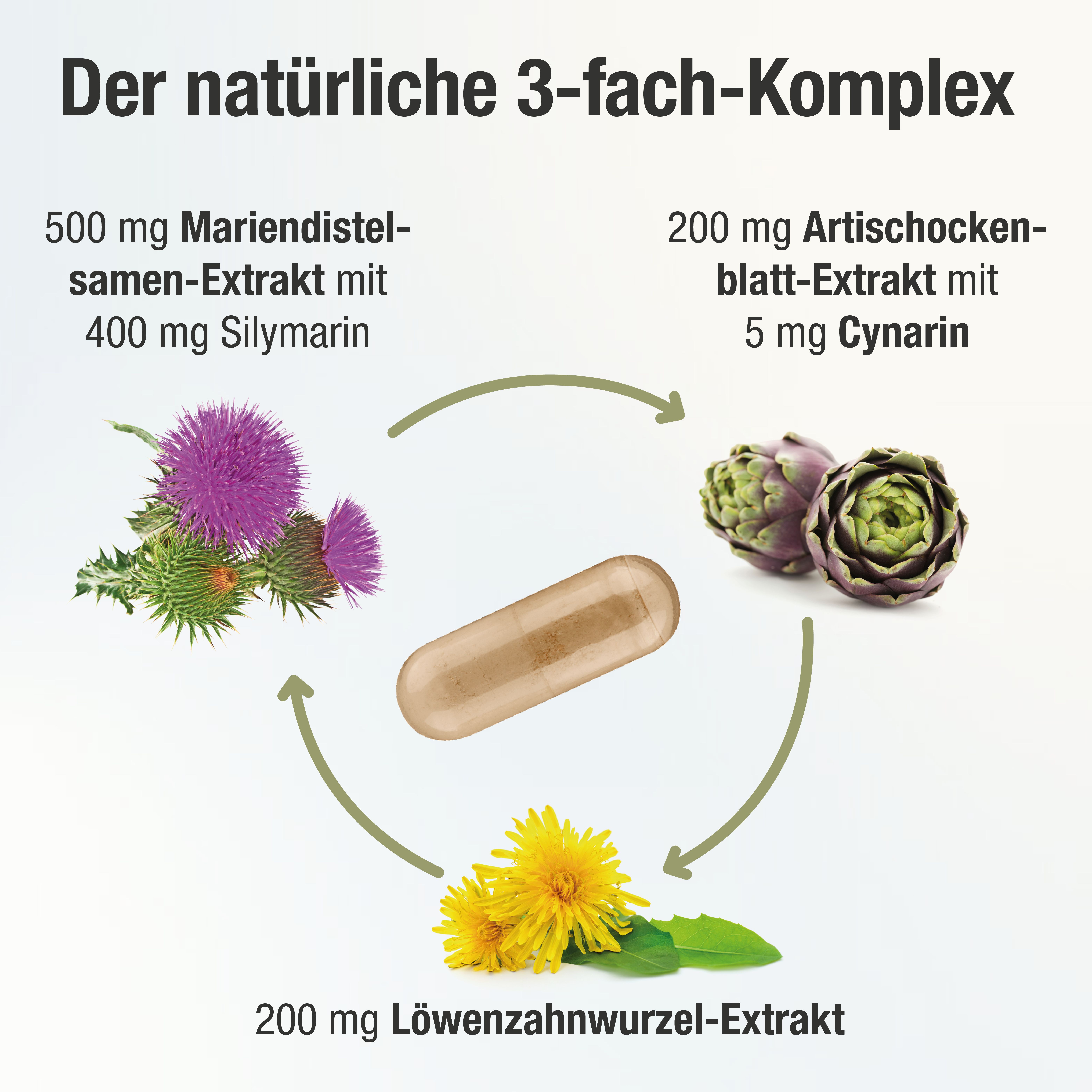 HEPAVENT PLUS