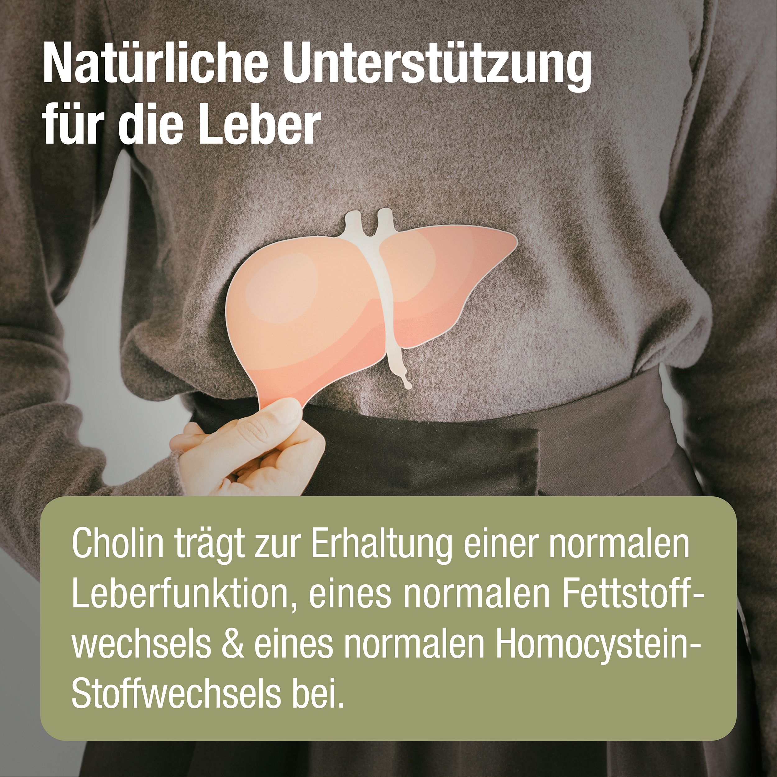 HEPAVENT PLUS