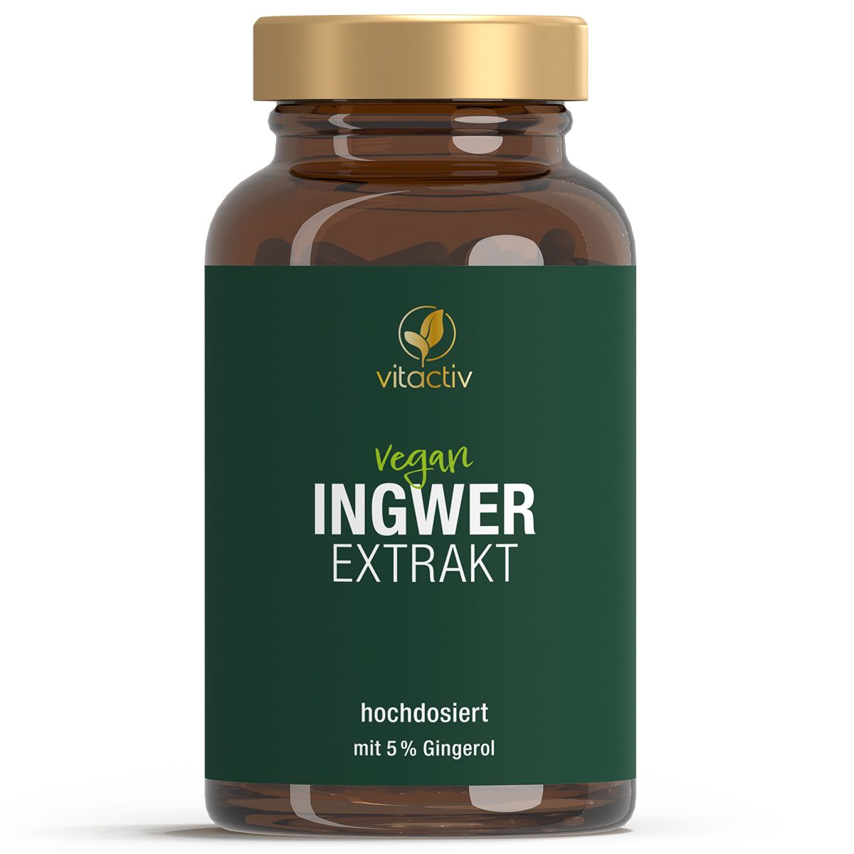 Vitactiv Ingwer Extrakt