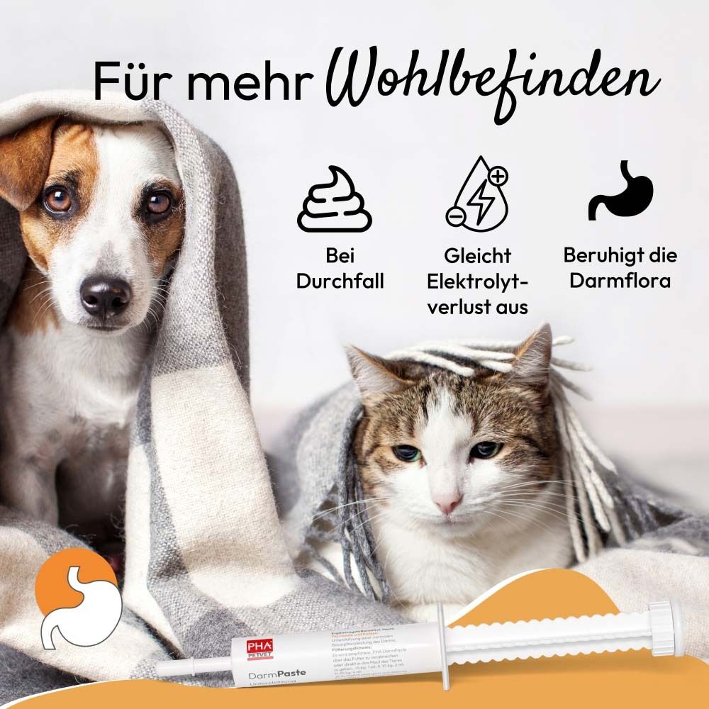 Hund und Katze unter Decke. Produktname und Spritze. Symbole für Durchfall, Elektrolyte und Darmflora.