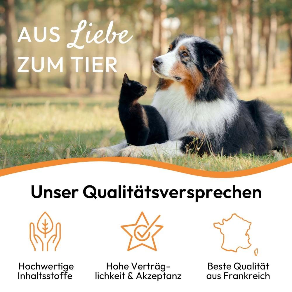 Hund und Katze im Freien. Qualitätsversprechen: Inhaltsstoffe, Verträglichkeit, Qualität aus Frankreich.